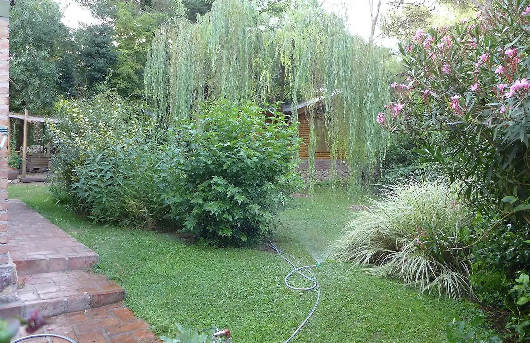 Cabañas Ananda-1